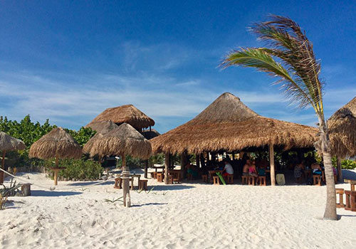 Utilisez votre visite aux ruines de Tulum pour approfondir vos recherches sur la culture maya. La ville et la plage sont des excursions d'une journée merveilleuse dans la région, à moins que vous n'ayez décidé de séjourner dans l'un des hôtels en bord de mer.